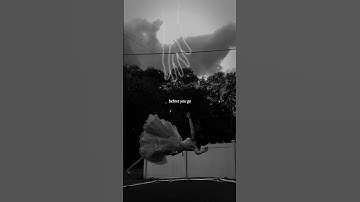 Thumbnail of Before You Go - Lewis Capaldi (Lyrics) | "When you hurt under the surface" | Aesthetic #beforeyougo