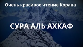 Очень красивое чтение Корана..СУРА АЛЬ АХКАФ - Анас аль-Эмади / سورة الأحقاف - أنس العمادي