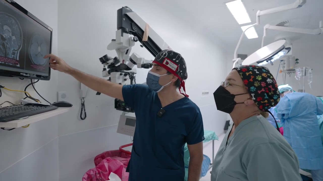 ORBees | Kolloid Kist - Part 1