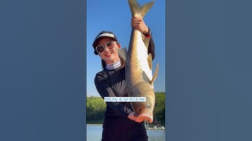 gái xinh thử thách đổi cá ăn lẩu và cái kết  #fishing #cauca#short