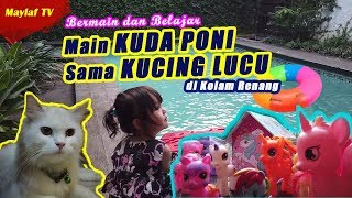 Bermain Mainan Kuda Poni sama Kucing Lucu di Kolam Renang. Play My Little Pony with Cat beside pool