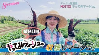 マーシュ彩 やってみマーシュ「収穫」