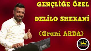 Gençli̇ğe Özel Pop Deli̇lo Halay Mi̇x - Grani̇ Arda
