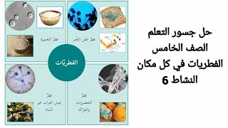 حل جسور التعلم الصف الخامس النشاط 6 الفطريات في كل مكان ، علوم ، رياضيات ، انجليزي ، عربي