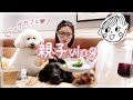 【親子Vlog】ドッグカフェで息子と大型犬に癒されまくり