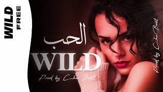 ( FREE FOR PROFIT ) Morocco Arabic Type Beat ' WILD ' - Dadju Instrumental 2022