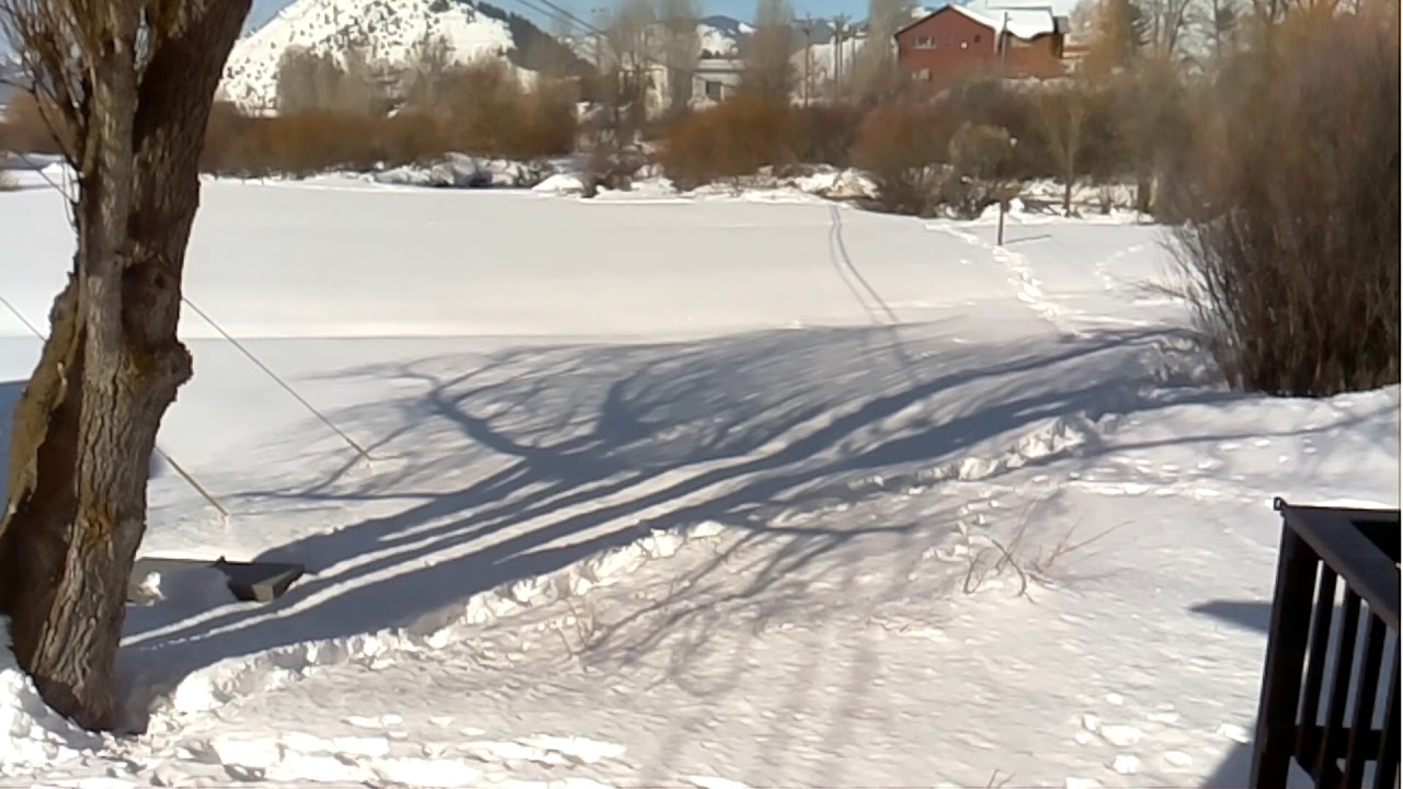 Karns Meadow Jackson WY Live Stream YouTube