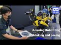 3D 180VR Amazing!! Robot Dog drinking water and peeing 😍😍 Developer say he made it for fun