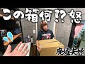 【山奥の廃墟に住む夫婦】買ってから1度も開けずに丸1年間放置されてる箱について強めに詰められるズボラな夫｜洗面所の超快適化DIY