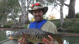 Mirror Carp - Catch and Don't Cook | RELAXING NATURE DOCUMENTARY FISHING