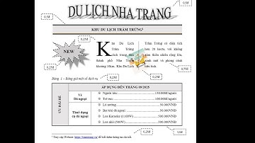 Giải đề Word thi thử Tin học đại cương | Link tải Đề dưới phần mô tả