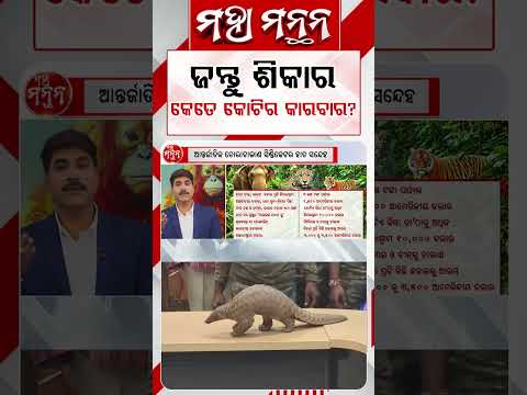 ଜନ୍ତୁ ଶିକାର କେତେ କୋଟିର କାରବାର ? | Maha Manthan | Argus News
