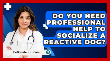Do You Need Professional Help To Socialize A Reactive Dog? - PetGuide360.com