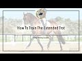 HOW TO TRAIN THE EXTENDED TROT - Dressage Mastery TV Episode 163