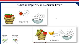 1 7 Decision Tree