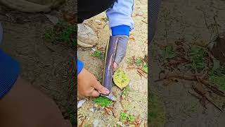 Imd 5233777813 Mini Rotary Tillage And Ridging All-In One Short View