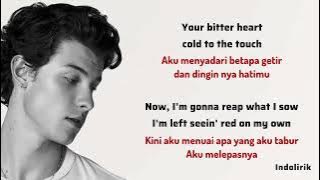 Stitches - Shawn Mendes | Lirik Terjemahan