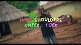 HEAD SHOULDERS KNEES & TOES IN HAUSA - SOKIDZTV