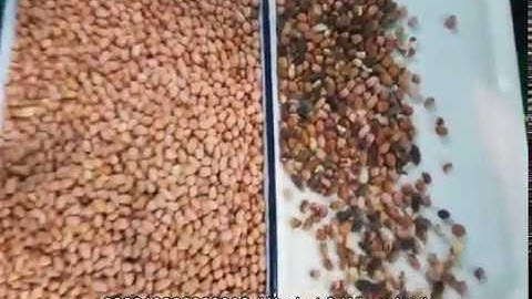 How Peanut Color Sorter Machine Remove Discoloured Peanut Kernel