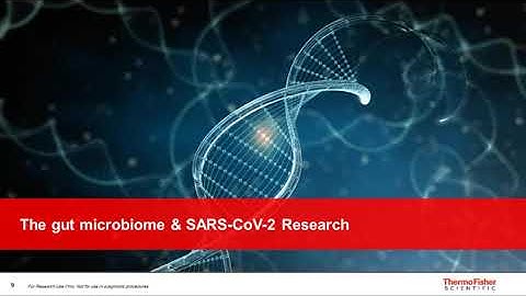 Understanding the potential impact of the gut microbiome on SARS-CoV-2 Research