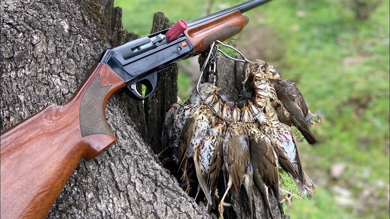 Zorzales. Hay esperanza.