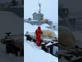 I Put a Camera on a Polar Bear… What It Found Under Antarctica Shocked Us