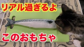 【猫・おもちゃ】amazonで見つけた魚のおもちゃが非常にリアル過ぎる件