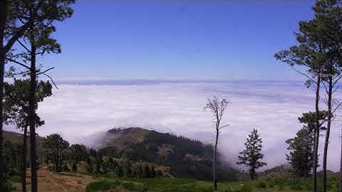 RVM 2020 Chris Courteyn Videoproductions - Pódio