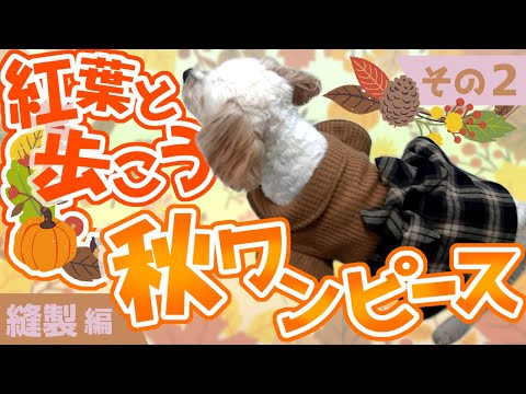 秋のワンピース～その2～【わんこ服の作り方】 - YouTube