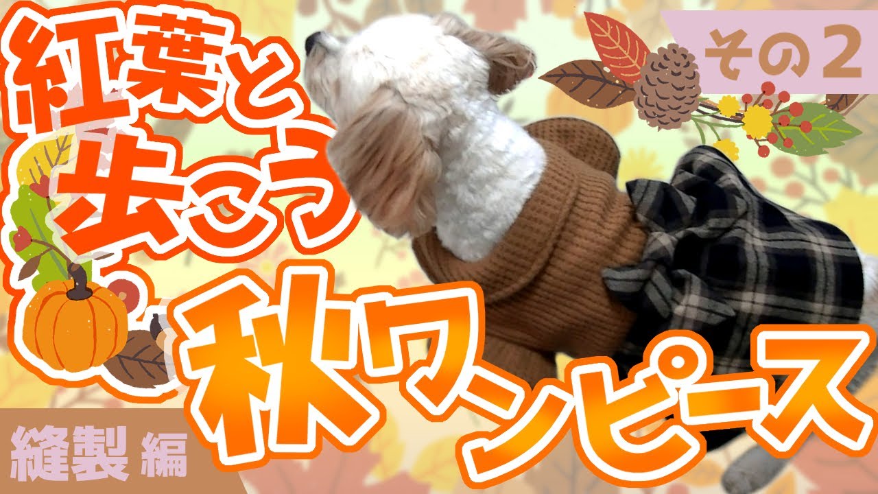 秋のワンピース～その2～【わんこ服の作り方】 - YouTube