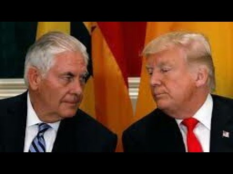 #UltimaHora Trump decreta caída de Maduro videos for cats