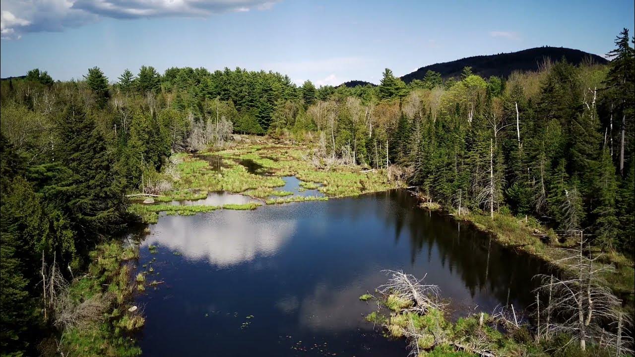 Taylor Pond, NY YouTube