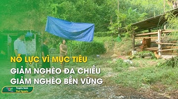 Nỗ lực vì mục tiêu giảm nghèo đa chiều, giảm nghèo bền vững – Phóng sự chuyên đề | Thái Nguyên TV