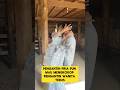 momen lucu ketika pengantin pria sudah tidak tahan lagi ‼️‼️ #ngakak #lucu #kocak #pengantinviral