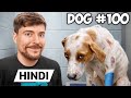 I Saved 100 Dogs From Dying ( Hindi )  @MrBeast