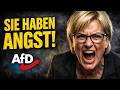 SIE HABEN ANGST! AfD Niedersachsen „gesichert rechtsextrem“!