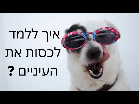 וִידֵאוֹ: איך יורדים כלבים?