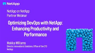 Optimizing DevOps with NetApp to Enhance Productivity and Performance