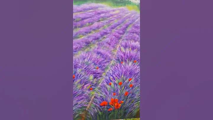 Purple lavender field 100 cm x 80 cm