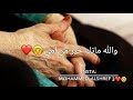 والله مانك خير من امي والله لو والله مانك خير من امي والله لو