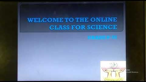 PVI SCIENCE LESSON # 62 TOPIC: CHAPTER#7 EXERCISE Dated: 10/8/2020