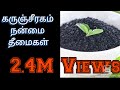 Rs.0 | மரணத்தை போக்கும் Karunjeeragam | Black cumin seed benefits