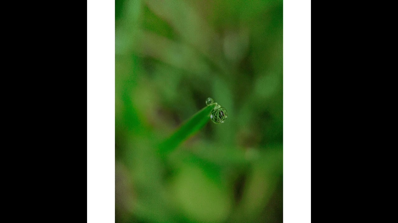 Yo Te Esperaré SLOWED