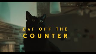 Cat off the Counter - The Stay at Home Short Film Challenge