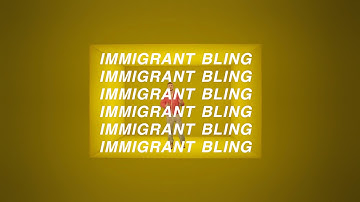 Immigrant Bling (Hotline Bling Parody) by BRICKA BRICKA