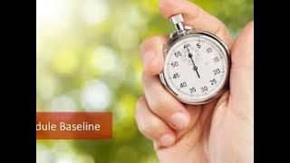 What is Schedule Baseline ?