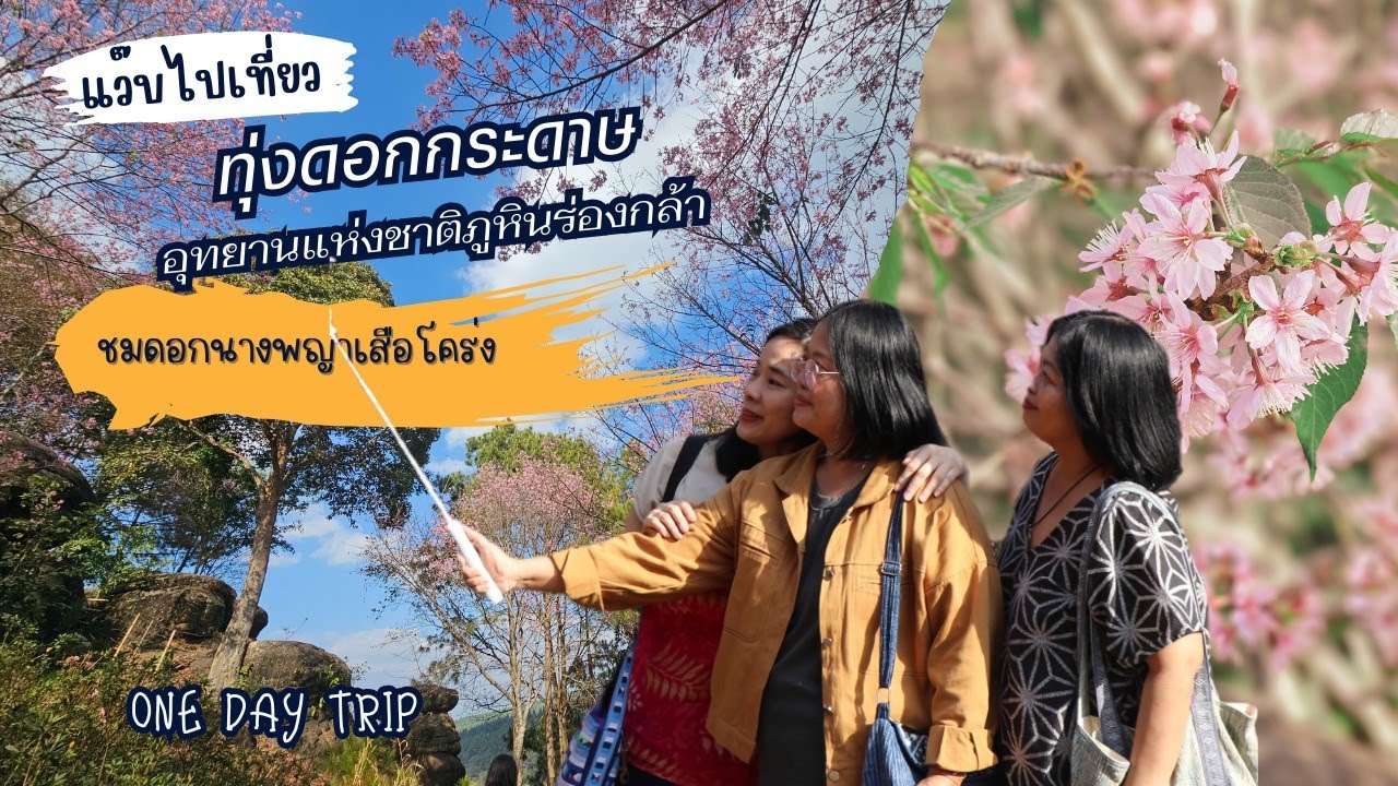 ดูดอกนางพญาเสือโคร่งที่ทุ่งดอกกระดาษ อุทยานแห่งชาติภูหินร่องกล้า จ.พิษณุโลก