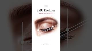 PMU Eyeliner Mapping | PMUHub #pmueyeliner #permanentmakeup #pmuhub