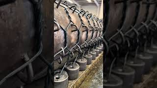 Y Automatic Chain Link Fence Manufacturing Machine
