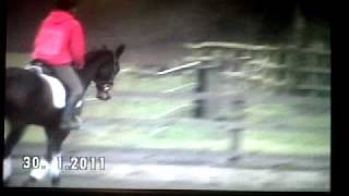 Details Ruby Flood Dressage Guide